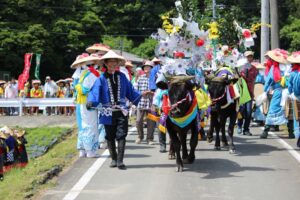 女子ラグビー部「第２６回川平花田植え」